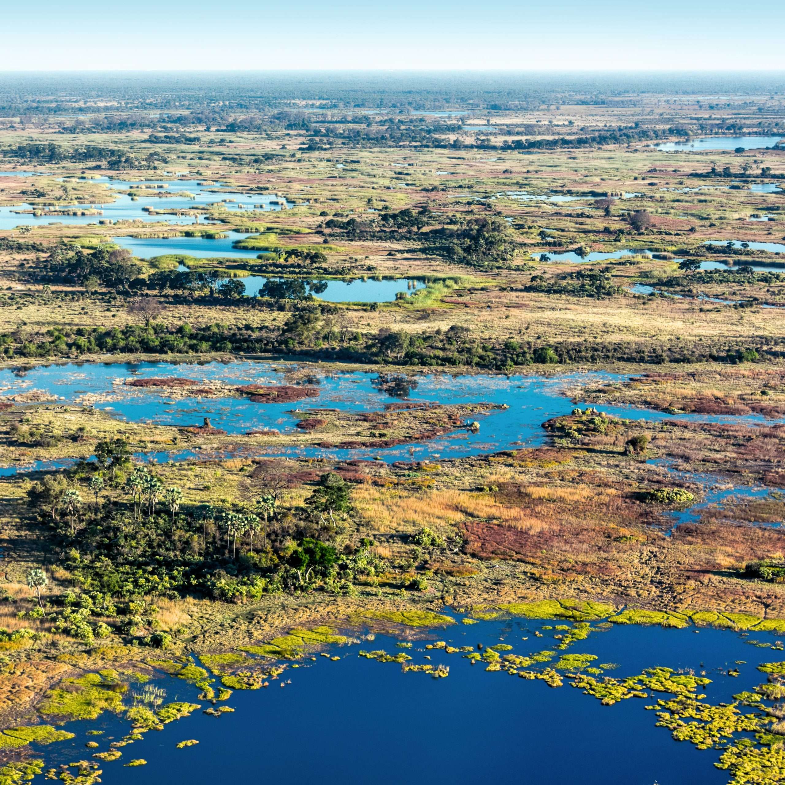 botswana okawango delta safari