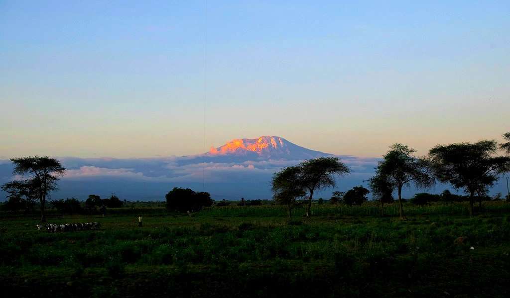 kilimanjaro evid