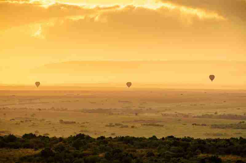 Three hot air balloons take flight , silhouetted in the dawn sky of the Masai Mara National Reserve, Kenya