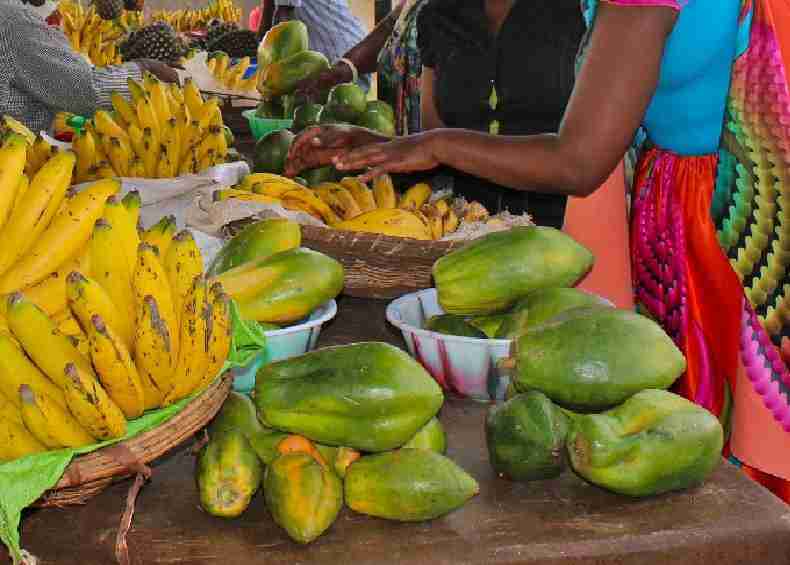 RWANDA FOOD EVID