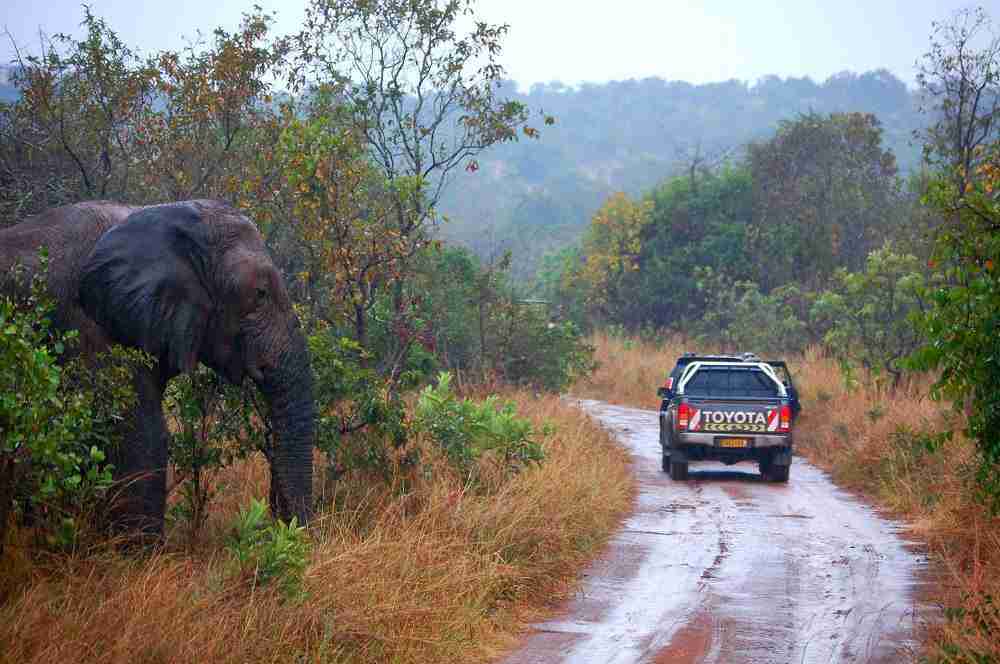 rwanda rentcar EVID