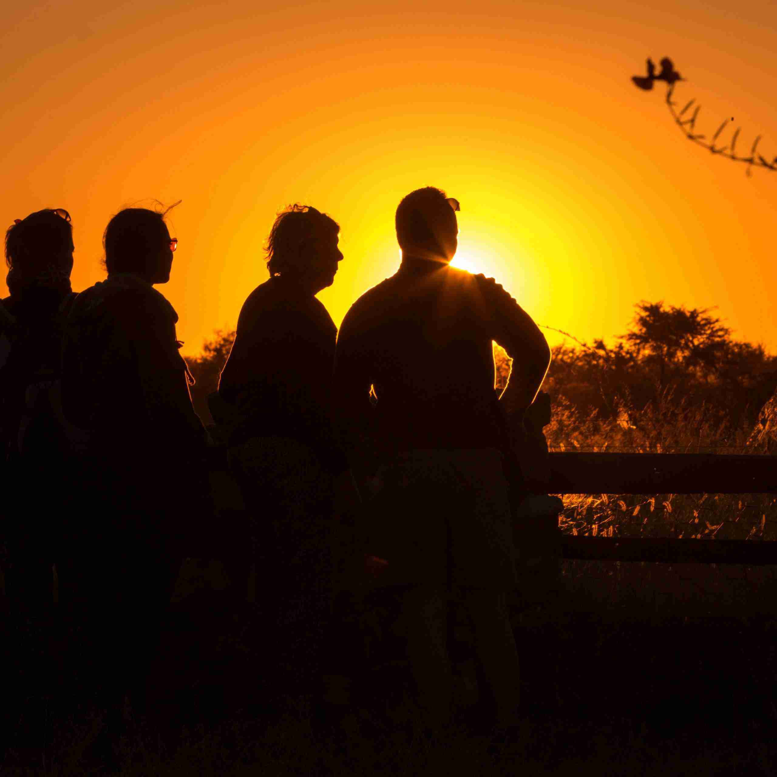 botswana safari